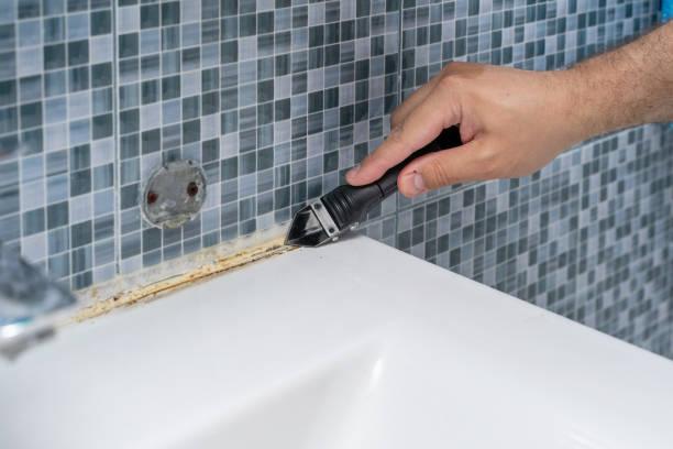 Best Mold Cleaning Services  in East Alton, IL